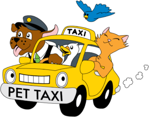 istanbul pet taksi hizmeti