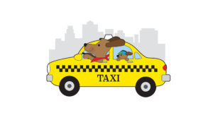 pet-taksi