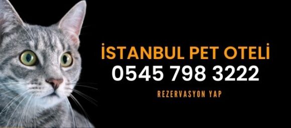 Pendik Pet Oteli